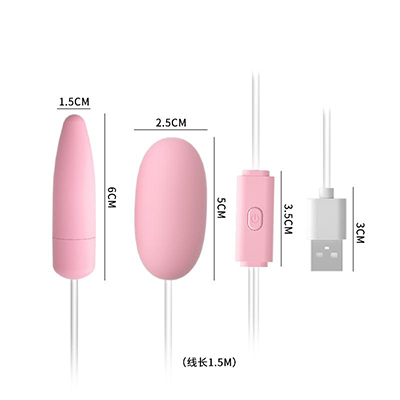 USB Dual Bullet Vibrator (Model D) – Double Stimulation