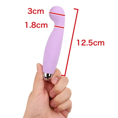 Love Pointy12頻震動USB充電按摩棒(紫色)