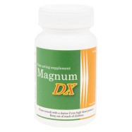 マグナムDX 380mg×90粒