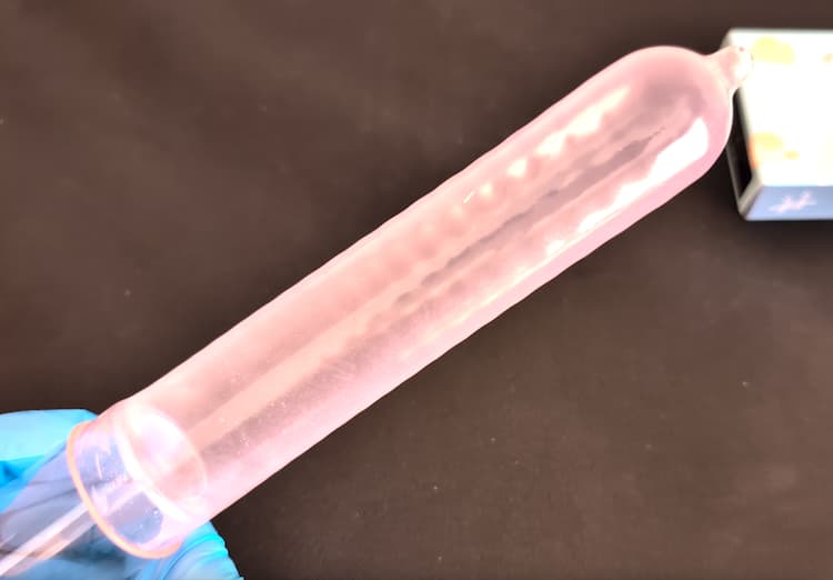 Photo Showing the Shape of Ususu 1000 Cat Design