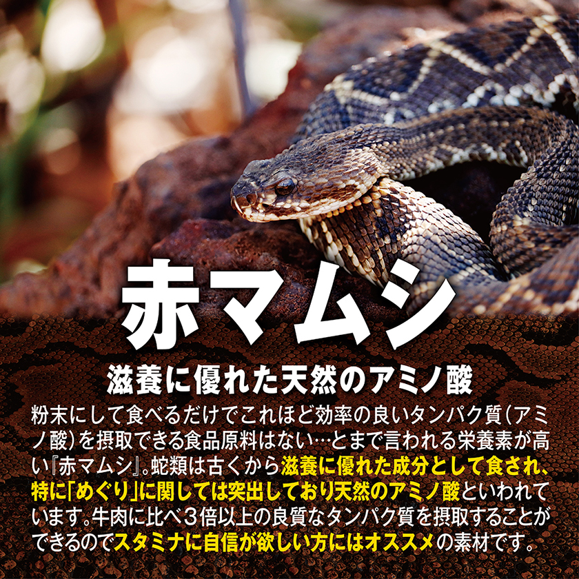 仁王极 男性守护神 04