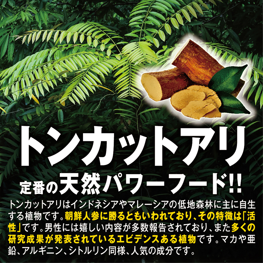 侍10個パック 04