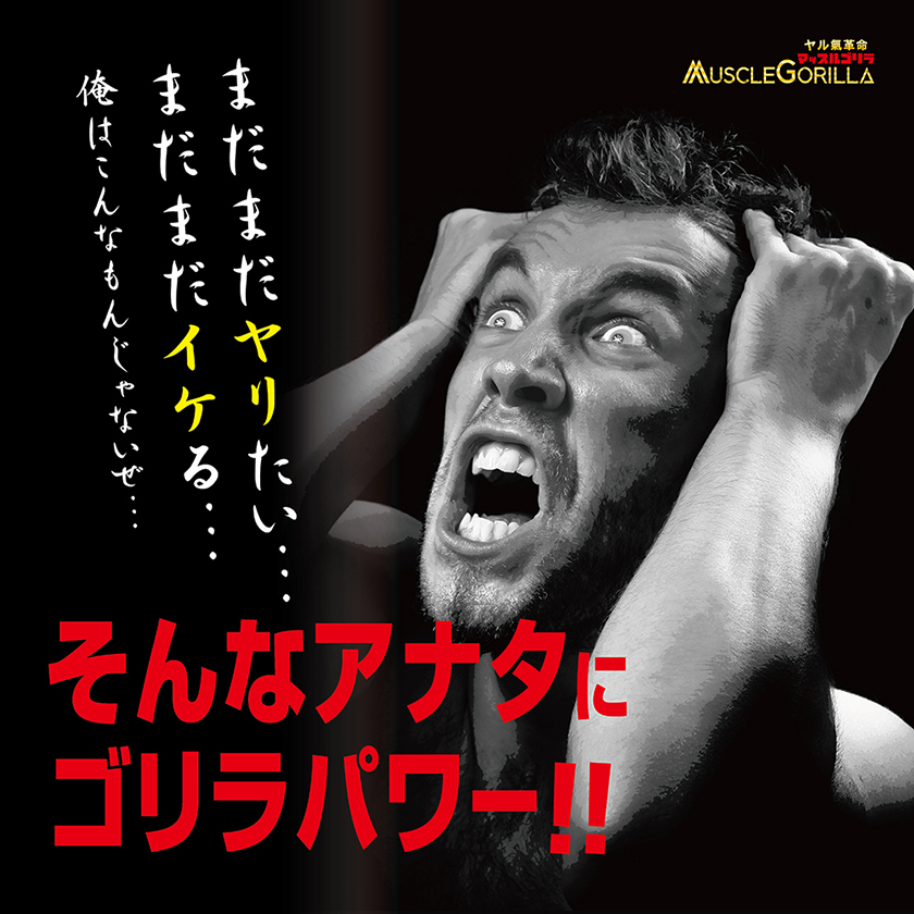 MUSCLE GORILLA 03