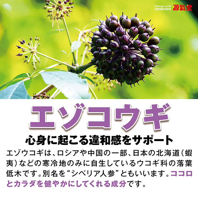 金剛猛男男性保健片 60粒 05
