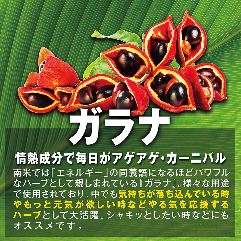 大玛卡性增强清凉饮料30,000mg 5包 06