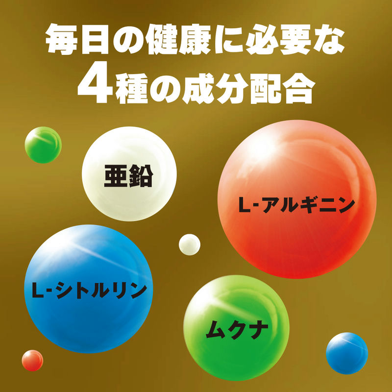 男の活力サプリ ギラッと 10日分 02
