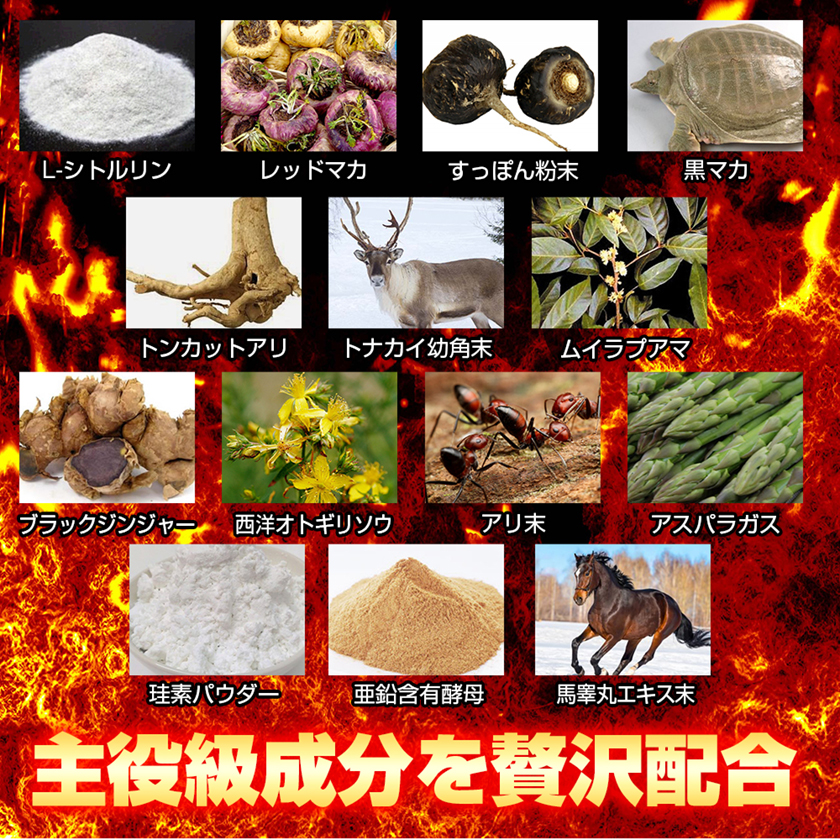 男士增強體能強效片 02