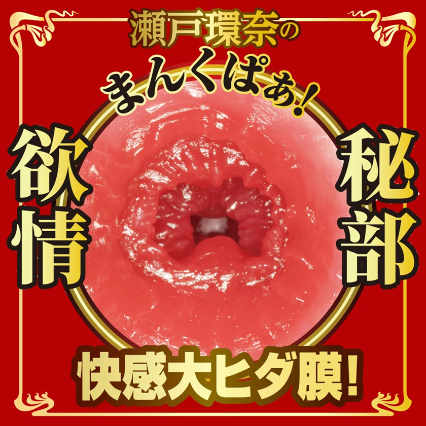Meiki no Shomei 16 Special Edition Kanna Seto 02