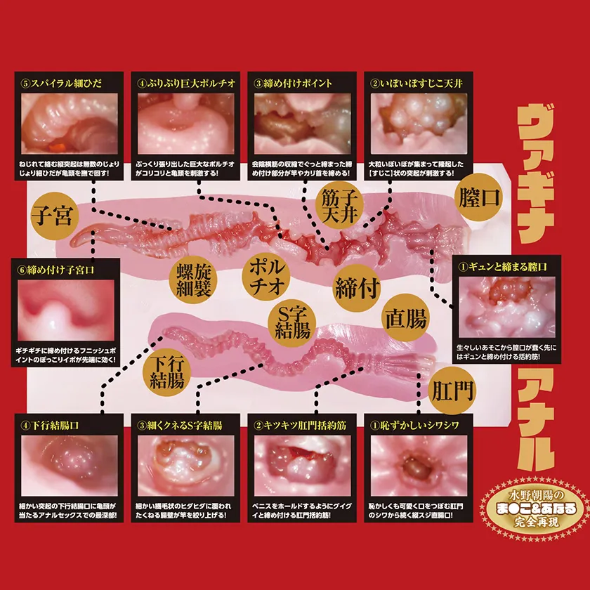 NPG Extreme Pleasure Hip Third Generation Of Gokujo Namagoshi Masturbator03