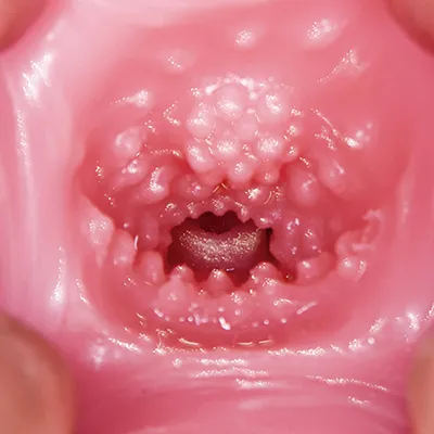 三代目 極上生腰