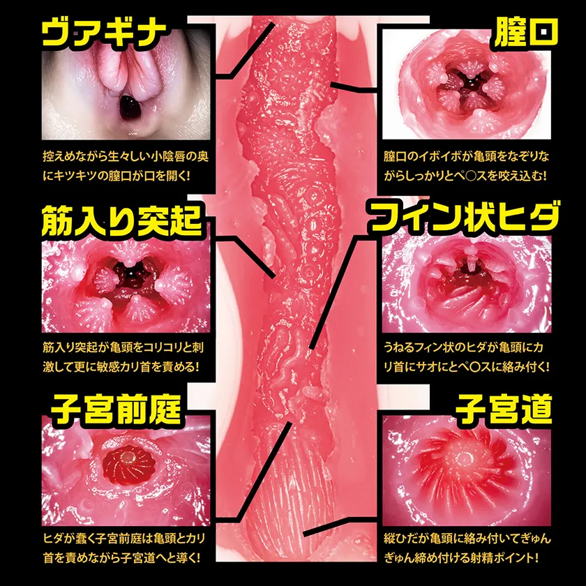 NPG 男用品 新名器證明No.003 葵翼04