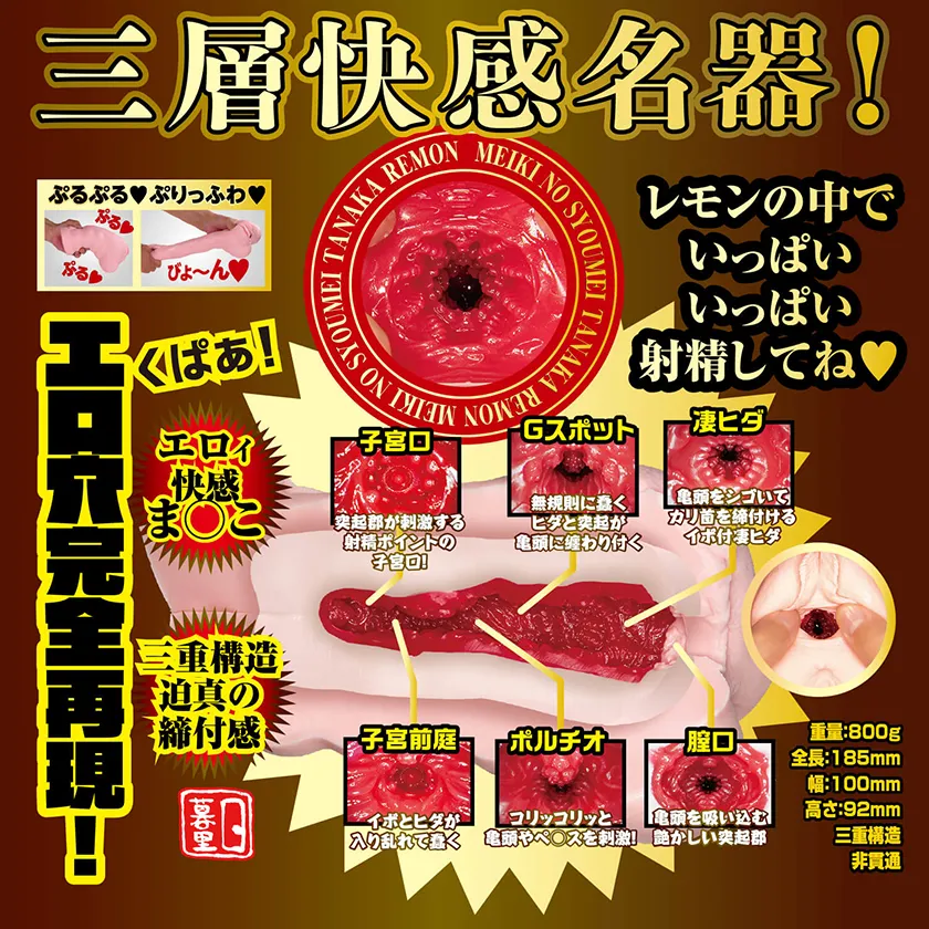 NPG Meiki No Syoumei NO.013 Lemon Tanaka07