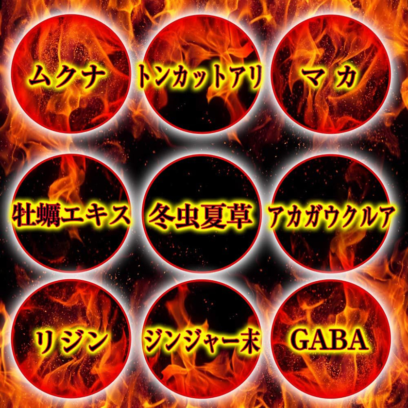 Dialis ディアリス 03