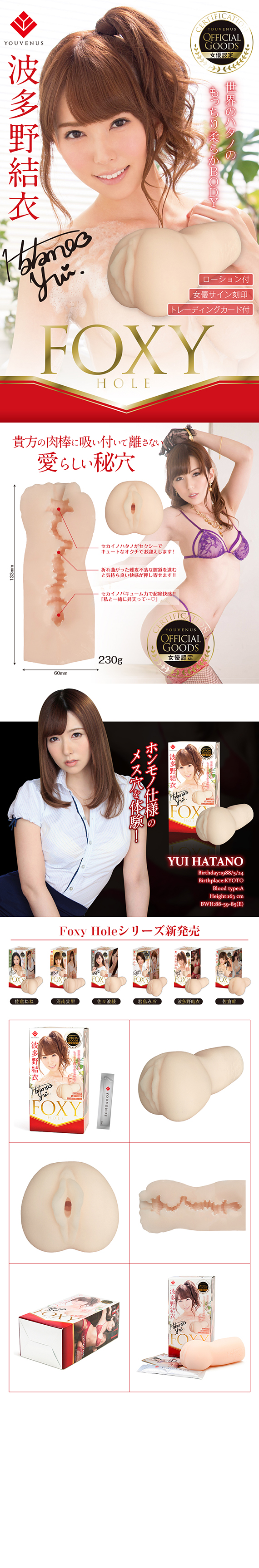 The AV Actress FoxyHole Yui Hatano Masturbator01